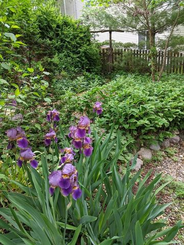 1737 Greenlawn Avenue, Kalamazoo, MI 49006