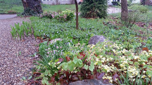 1737 Greenlawn Avenue, Kalamazoo, MI 49006