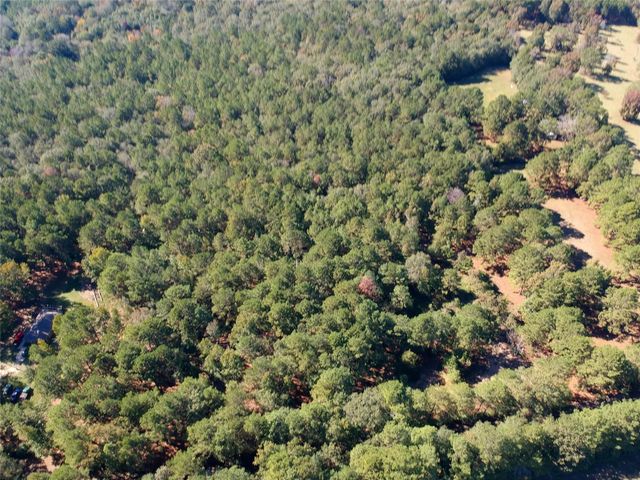 TBD County Road 3568, Woodville, TX 75979