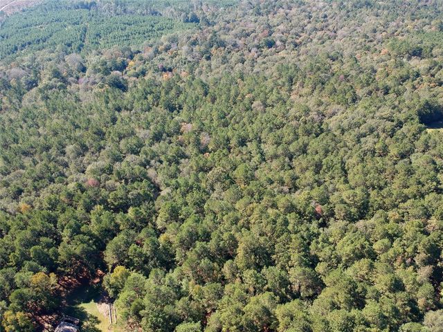 TBD County Road 3568, Woodville, TX 75979