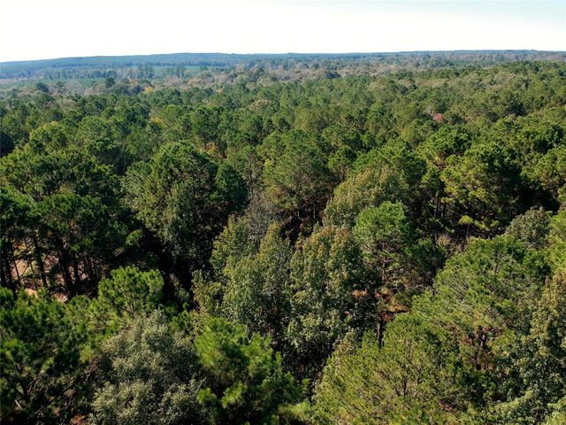 TBD County Road 3568, Woodville, TX 75979