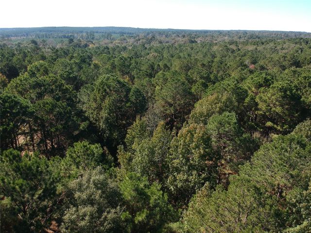 TBD County Road 3568, Woodville, TX 75979