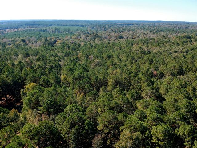 TBD County Road 3568, Woodville, TX 75979