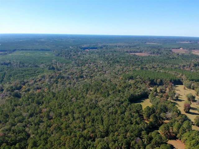 TBD County Road 3568, Woodville, TX 75979