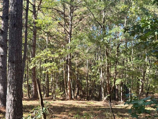 TBD County Road 3568, Woodville, TX 75979