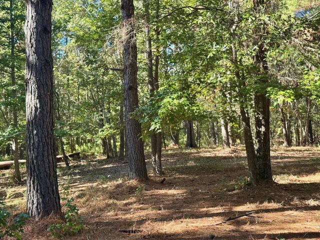 TBD County Road 3568, Woodville, TX 75979