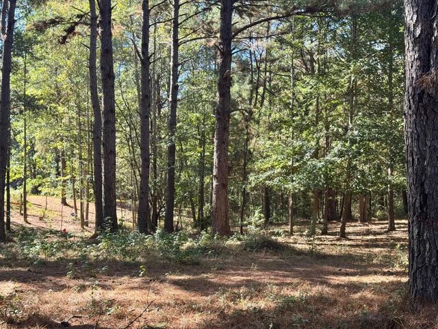 TBD County Road 3568, Woodville, TX 75979