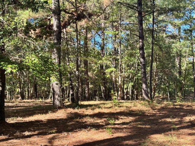 TBD County Road 3568, Woodville, TX 75979