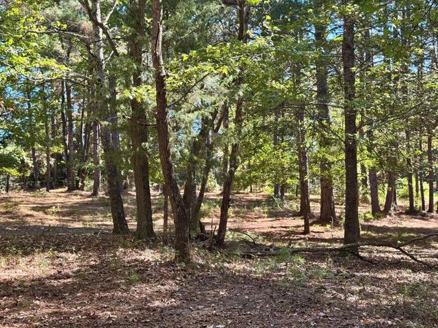 TBD County Road 3568, Woodville, TX 75979