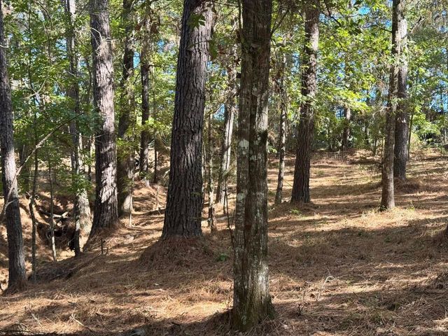 TBD County Road 3568, Woodville, TX 75979