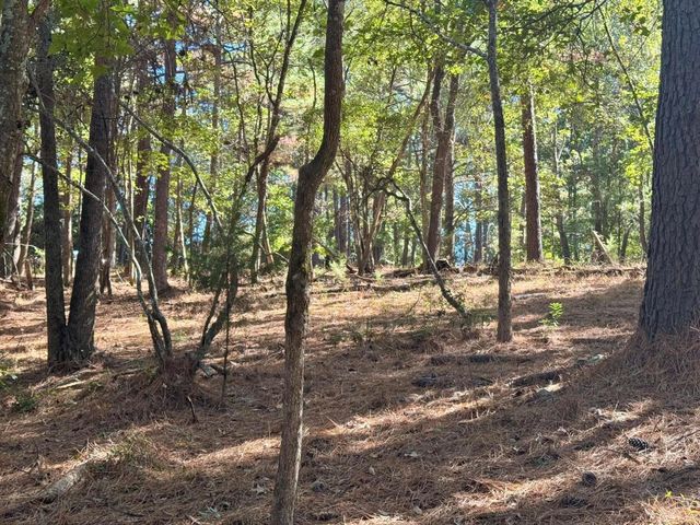 TBD County Road 3568, Woodville, TX 75979