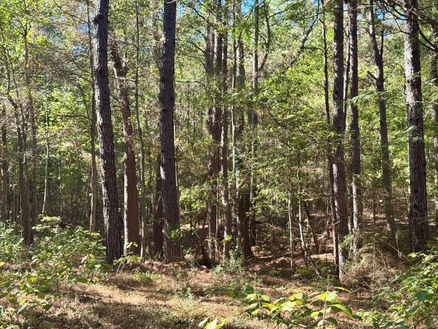 TBD County Road 3568, Woodville, TX 75979