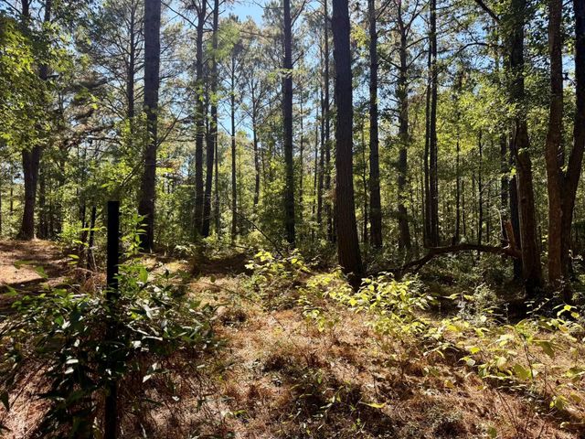 TBD County Road 3568, Woodville, TX 75979