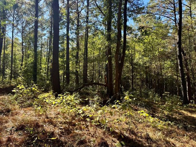 TBD County Road 3568, Woodville, TX 75979