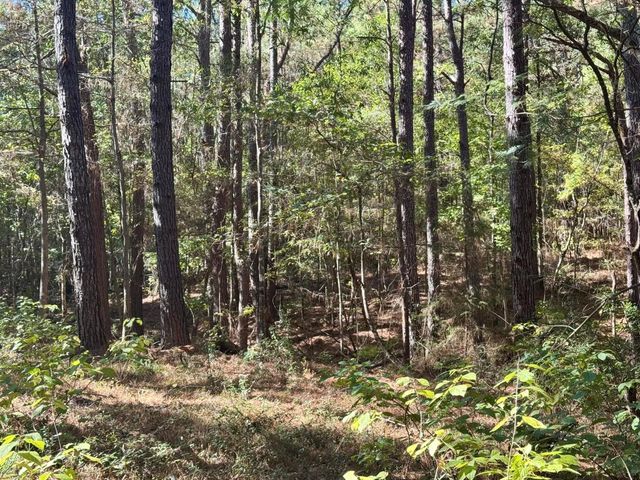 TBD County Road 3568, Woodville, TX 75979