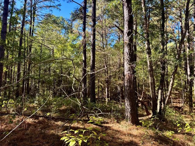 TBD County Road 3568, Woodville, TX 75979