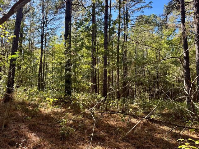 TBD County Road 3568, Woodville, TX 75979