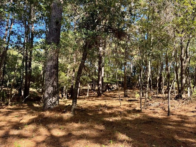 TBD County Road 3568, Woodville, TX 75979