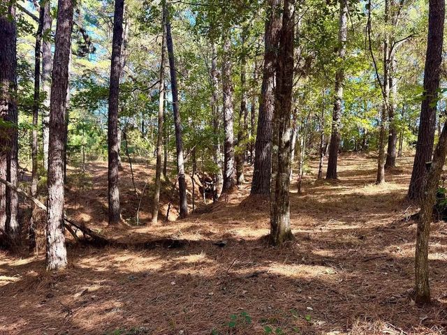 TBD County Road 3568, Woodville, TX 75979