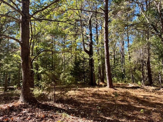 TBD County Road 3568, Woodville, TX 75979