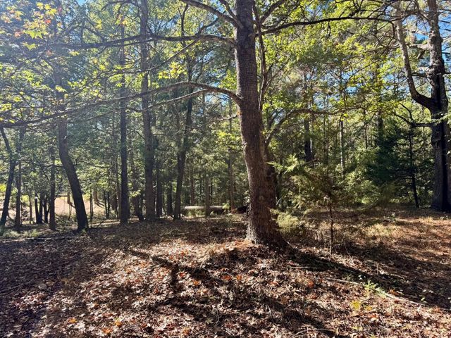 TBD County Road 3568, Woodville, TX 75979