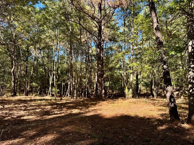 TBD County Road 3568, Woodville, TX 75979