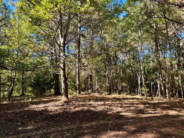 TBD County Road 3568, Woodville, TX 75979