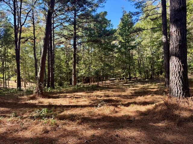 TBD County Road 3568, Woodville, TX 75979