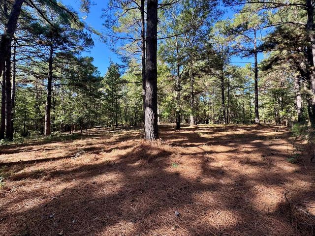 TBD County Road 3568, Woodville, TX 75979