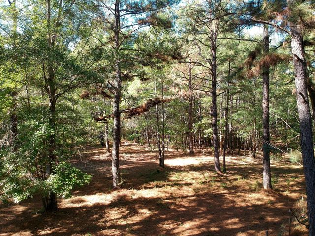 TBD County Road 3568, Woodville, TX 75979