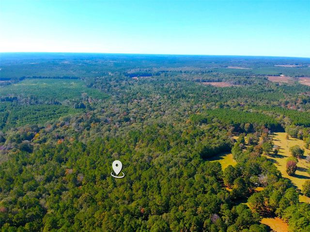 TBD County Road 3568, Woodville, TX 75979