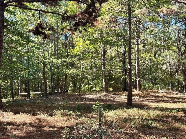 TBD County Road 3568, Woodville, TX 75979