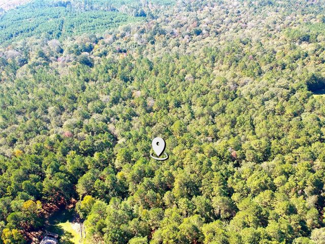 TBD County Road 3568, Woodville, TX 75979