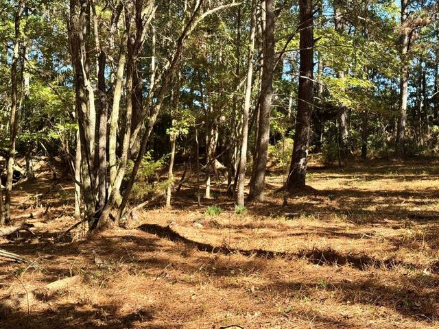 TBD County Road 3568, Woodville, TX 75979