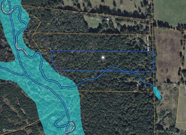 TBD County Road 3568, Woodville, TX 75979