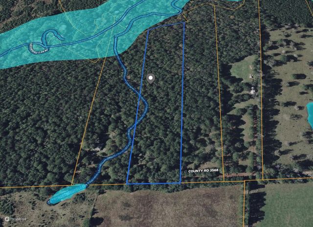 TBD County Road 3568, Woodville, TX 75979