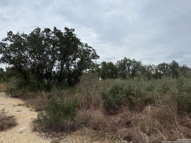 261 Grand Ranch, Hondo, TX 78861