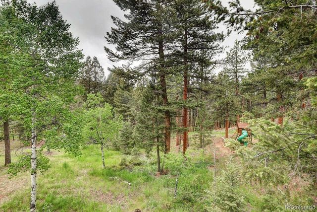 9209 William Cody Drive, Evergreen, CO 80439