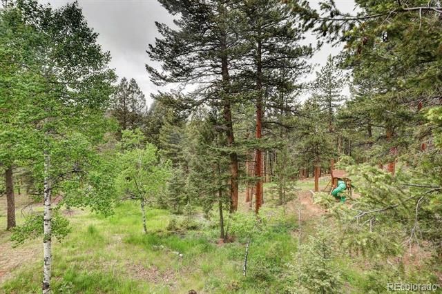 9209 William Cody Drive, Evergreen, CO 80439