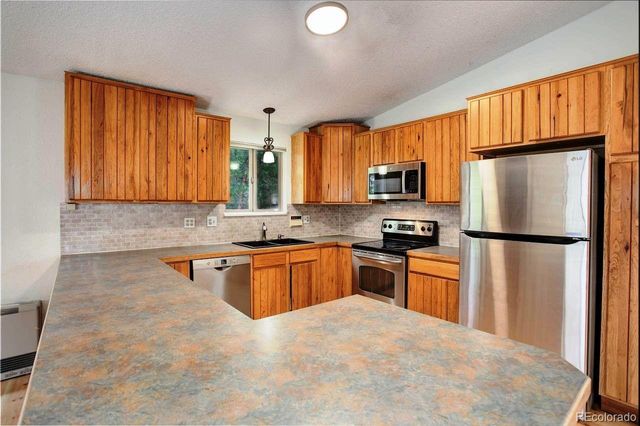 9209 William Cody Drive, Evergreen, CO 80439