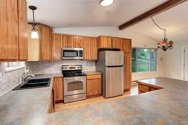 9209 William Cody Drive, Evergreen, CO 80439