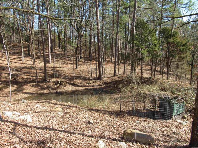 79 Jones Hill Lane, Mayflower, AR 72106