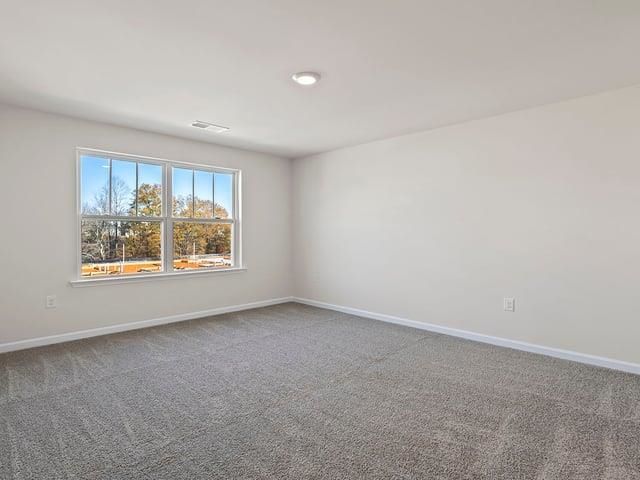 46 Sunriff Court, Greer, SC 29651