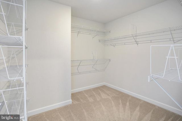 6725 24TH CT N, Arlington, VA 22205