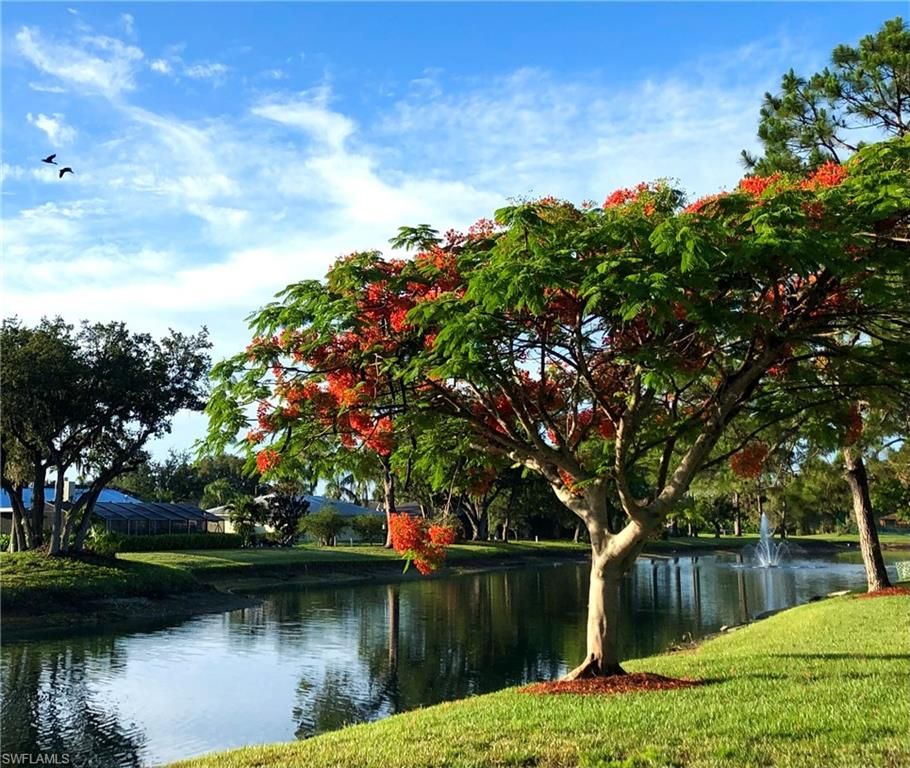 16000 BAY POINTE BLVD 306, NORTH FORT MYERS, FL 33917 — photo 5