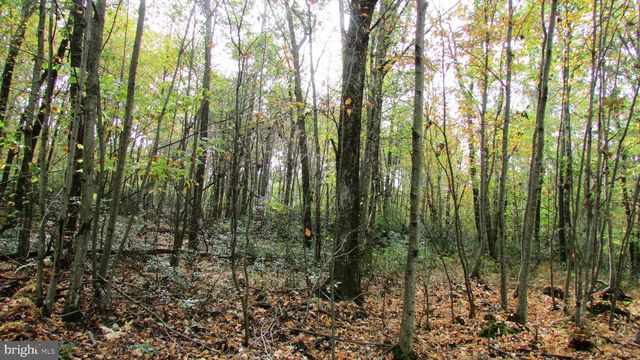 105 BIG RUN RD, Beech Creek, PA 16822