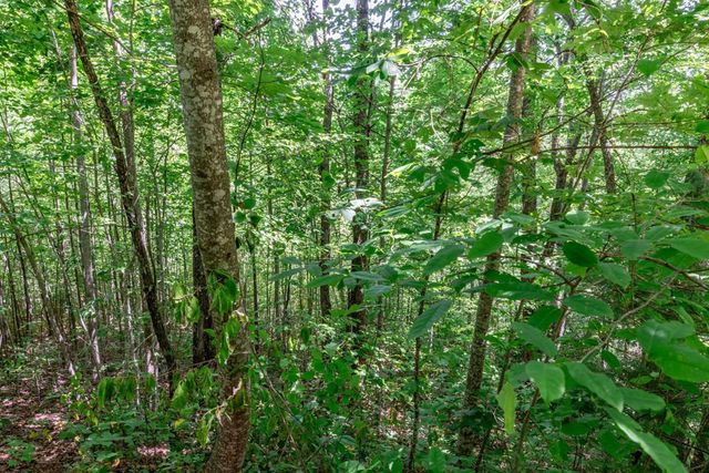 Lot 111C Puett Cove Estates, Marble, NC 28905