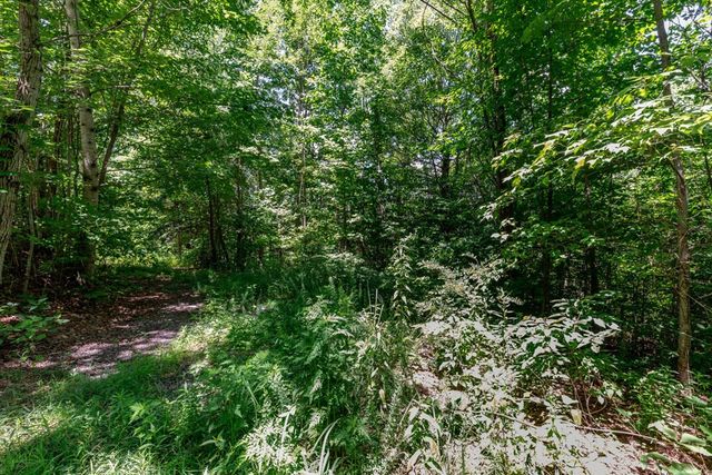 Lot 111C Puett Cove Estates, Marble, NC 28905