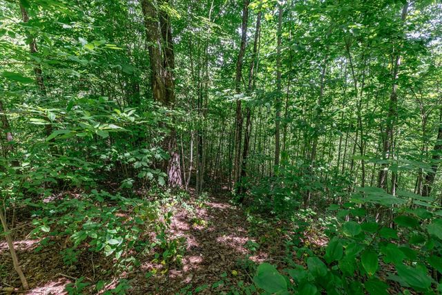 Lot 111C Puett Cove Estates, Marble, NC 28905