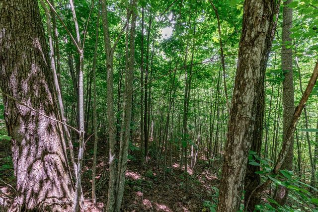 Lot 111C Puett Cove Estates, Marble, NC 28905